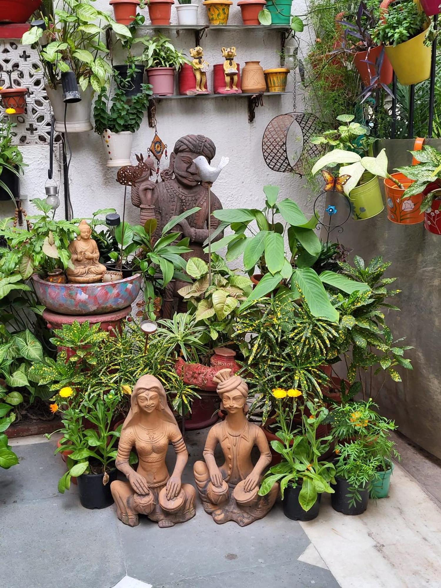 Delhi Bed And Breakfast Нью-Дели Экстерьер фото
